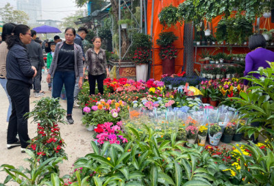 Quận Hà Đông tổ chức 9 điểm chợ hoa xuân Tết Nguyên đán Quý Mão